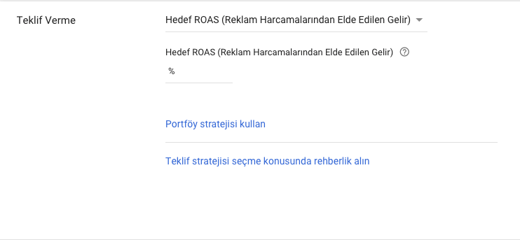 Google Ada Teklif Stratejileri - Hedef Roas