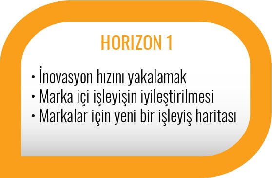 3 Horizons Modeli - Horizon 1