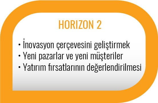 3 Horizons Modeli - Horizon 2
