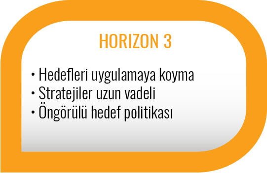 3 Horizons Modeli - Horizon 3
