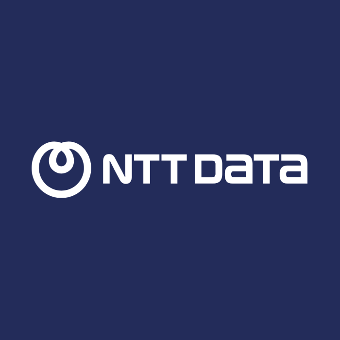 Ntt Data Basari Hikayesi Logo